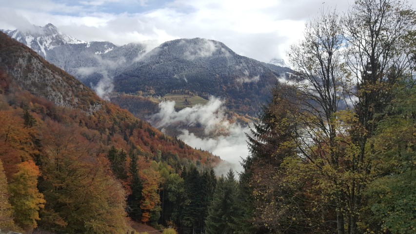 Paysage Automne